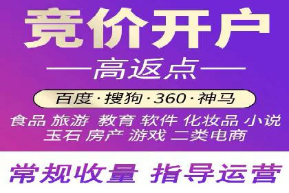 竞价广告端口开户的典型案例剖析